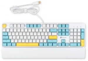   K951X   USB Multimedia LED (  ) (1901079)