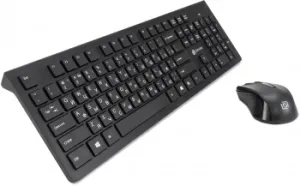  +  Oklick 250M : : USB  slim