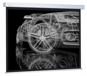  Cactus 213x213 Wallscreen CS-PSW-213x213 1:1 -  