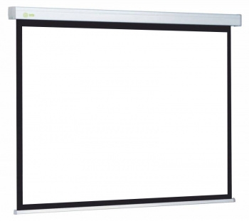  Cactus 213x213 Wallscreen CS-PSW-213x213 1:1 -  