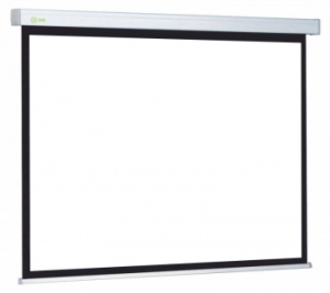  Cactus 213x213 Wallscreen CS-PSW-213x213 1:1 -  