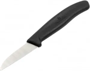   Victorinox Swiss Classic (6.7303)   .60    