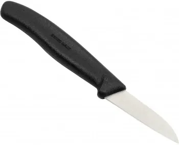   Victorinox Swiss Classic (6.7303)   .60    