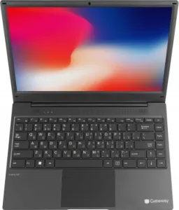  Acer Gateway Ultra Slim 14 Ryzen 5 3500U 8Gb SSD256Gb AMD Radeon Vega 8 14.1 IPS FHD (1920x
