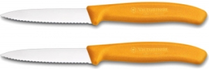   . Victorinox Swiss Classic (6.7636.L119B) .:2  