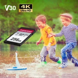   SD 256GB Transcend SDXC Class 10 UHS-I U3, V30, TLC, Silver