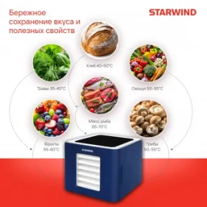      StarWind SFD9534,  