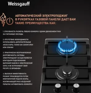    WEISSGAUFF HGG 320 BGV
