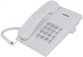  SANYO RA-S204W