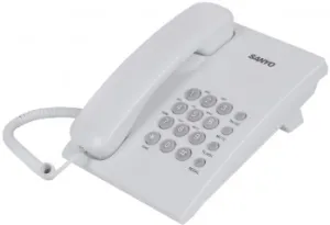   SANYO RA-S204W