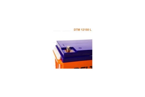   DELTA BATTERY DTM 12150 L