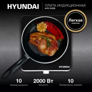   Hyundai HYC-0105   ()