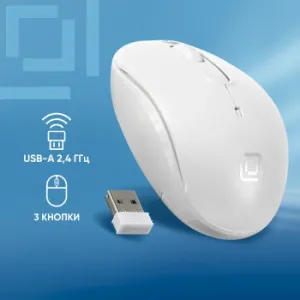  Oklick  505MW   (1000dpi)  USB (2but)