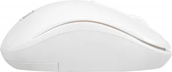  Oklick  505MW   (1000dpi)  USB (2but)