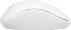  Oklick  505MW   (1000dpi)  USB (2but)