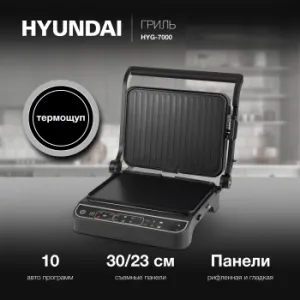  Hyundai HYG-7000 2000 /