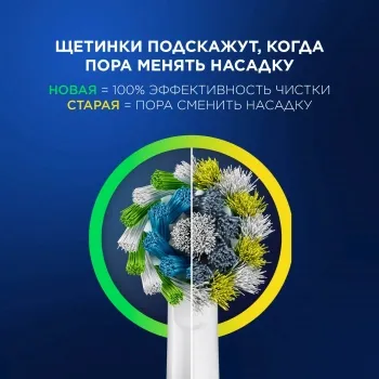    Oral-B Vitality Pro 80813238 