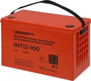    Ippon INT12-100 12 100