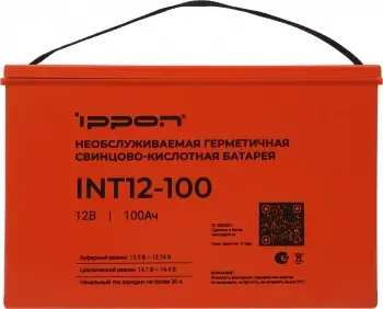    Ippon INT12-100 12 100