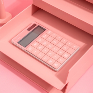   Deli Nusign ENS041pink  12-.