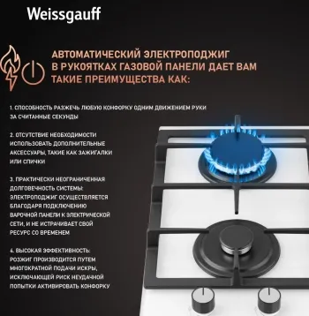    WEISSGAUFF HGG 320 WGV