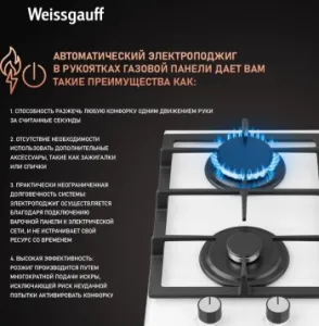    WEISSGAUFF HGG 320 WGV
