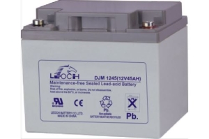   Leoch DJM1245 (12V 45Ah)