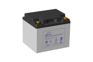   Leoch DJM1245 (12V 45Ah)