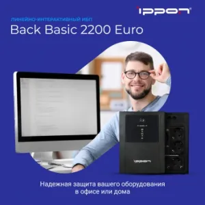    Ippon Back Basic 2200 Euro 1320 2200 