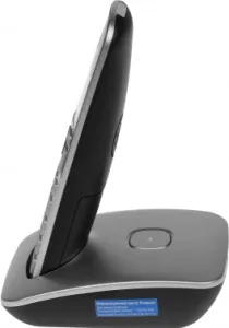   DECT Panasonic    DECT Panasonic/ , 