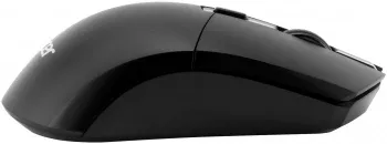  +  Acer OKR120 : : USB  Multimedia