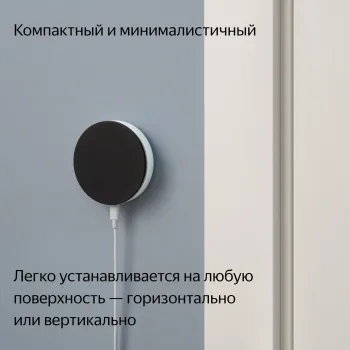     YNDX-00510
