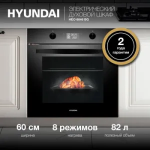    Hyundai HEO 6646 BG  