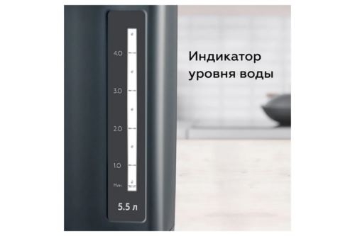  BQ TP531 Black,  5.5 .