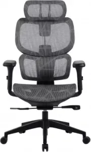  Cactus CS-MC555-GY /   . .   