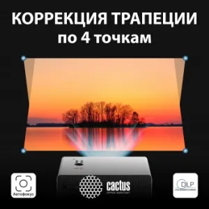  Cactus CS-C4.SG DLP 45600Lm (1920x1080) 800000:1  :25000 1xUSB typeA 1xHDMI