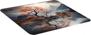   Cactus Lake 400x300x3 (CS-MP-PRO18XL)