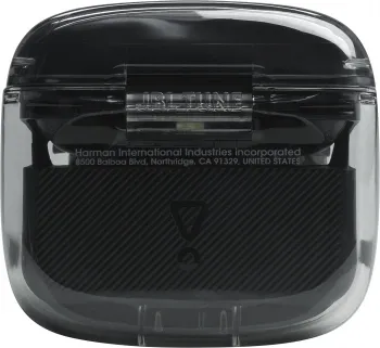   JBL Headphones  ghost black  JBLTFLEXGBLK