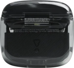   JBL Headphones  ghost black  JBLTFLEXGBLK