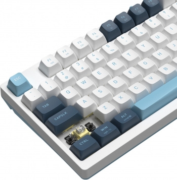  A4Tech Fstyler FS300  / USB for gamer LED (FS300 PANDA SNOWBOARDING