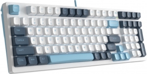  A4Tech Fstyler FS300  / USB for gamer LED (FS300 PANDA SNOWBOARDING