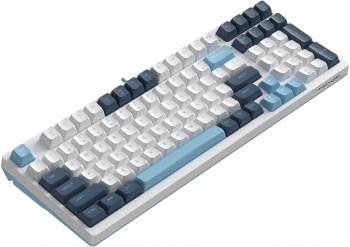  A4Tech Fstyler FS300  / USB for gamer LED (FS300 PANDA SNOWBOARDING