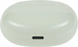   Realme Buds T110   bluetooth    (63120600