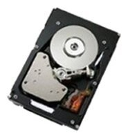   IBM 900GB 10.000 rpm 6Gb SAS 2.5 HDD (00Y2505)
