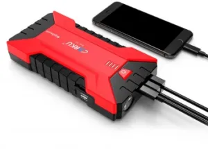   CARKU PRO-10    300,  800,  13000