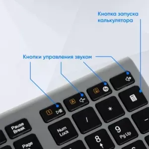  Oklick 890S  USB  slim