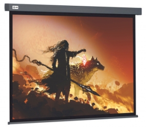  Cactus 213x213 Wallscreen CS-PSW-213X213-SG 1:1 -  