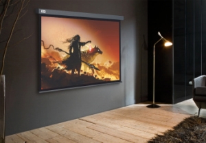  Cactus 213x213 Wallscreen CS-PSW-213X213-SG 1:1 -  