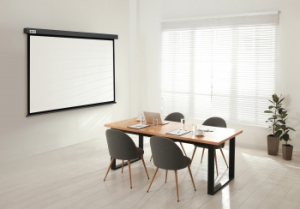  Cactus 213x213 Wallscreen CS-PSW-213X213-SG 1:1 -  
