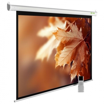  Cactus 188x300 MotoExpert CS-PSME-300x188-WT 16:10 -   (